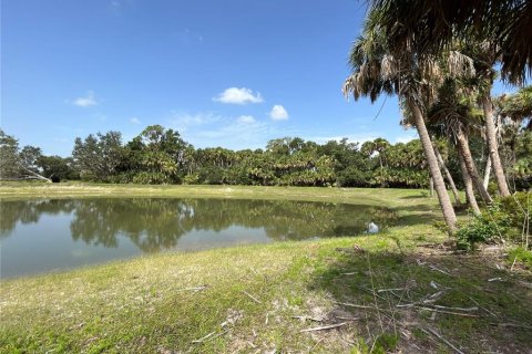 Land in Myakka City, Florida № 1382426 - photo 25