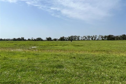 Land in Myakka City, Florida № 1382426 - photo 14