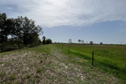 Land in Myakka City, Florida № 1382426 - photo 18