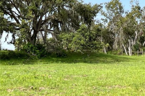 Land in Myakka City, Florida № 1382426 - photo 19