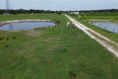 Land in Myakka City, Florida № 1382426 - photo 11