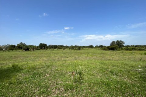 Terreno en venta en Myakka City, Florida № 1382426 - foto 22