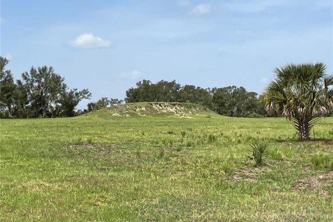 Land in Myakka City, Florida № 1382426 - photo 26