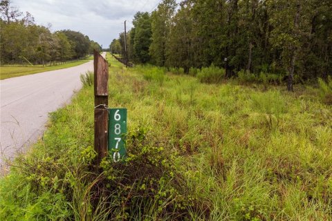 Terreno en venta en High Springs, Florida № 1334945 - foto 1