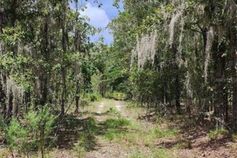 Terreno en venta en High Springs, Florida № 1334945 - foto 5