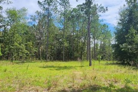 Terreno en venta en High Springs, Florida № 1334945 - foto 11