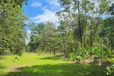 Terreno en venta en High Springs, Florida № 1334945 - foto 6