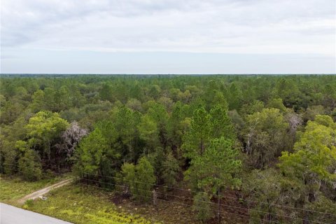 Terreno en venta en High Springs, Florida № 1334945 - foto 2