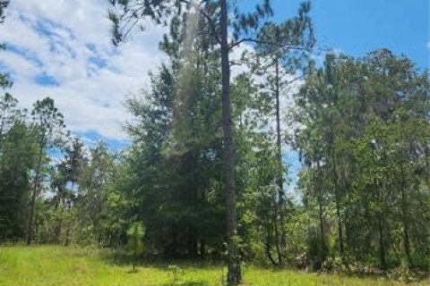 Terreno en venta en High Springs, Florida № 1334945 - foto 12