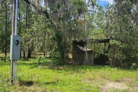 Terreno en venta en High Springs, Florida № 1334945 - foto 9