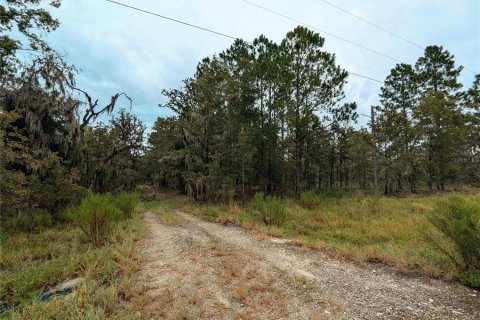 Terreno en venta en High Springs, Florida № 1334945 - foto 14