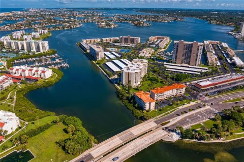 Condo in South Pasadena, Florida, 2 bedrooms  № 1351529 - photo 23