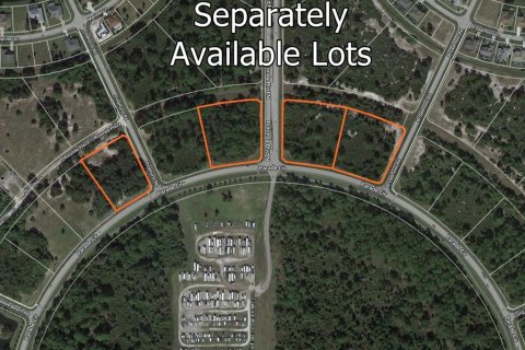 Купить земельный участок в Ротонда, Флорида № 842414 - фото 2