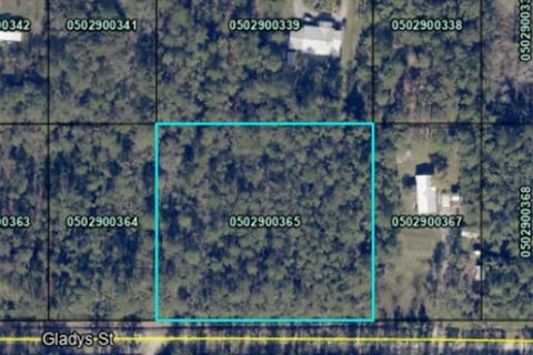 Terreno en venta en Hastings, Florida № 1317876 - foto 1