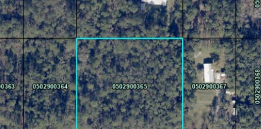 Land in Hastings, Florida № 1317876