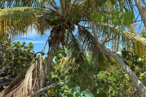 Terreno en venta en Islamorada, Village of Islands, Florida № 679828 - foto 16