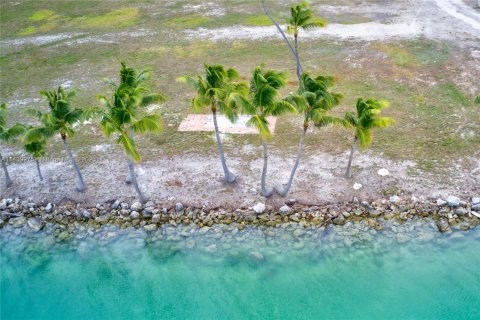 Land in Islamorada, Village of Islands, Florida № 679828 - photo 11