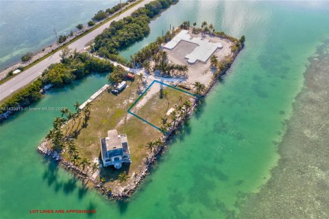Terrain à vendre à Islamorada, Village of Islands, Floride № 679828 - photo 4