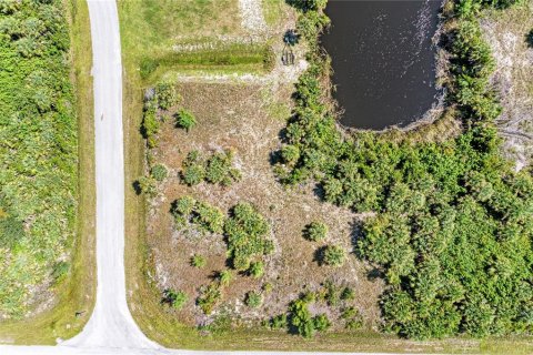 Terreno en venta en Port Charlotte, Florida № 1318541 - foto 11