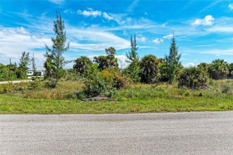 Terreno en venta en Port Charlotte, Florida № 1318541 - foto 9