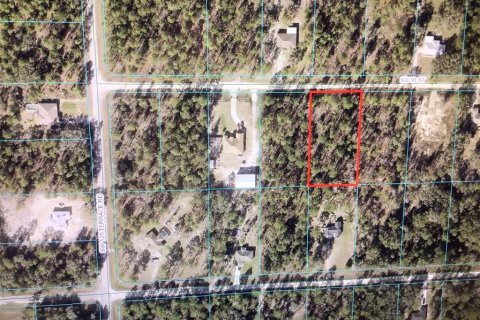 Terreno en venta en Dunnellon, Florida № 1415995 - foto 2