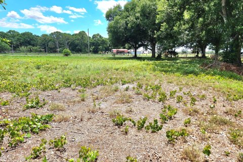 Land in Okeechobee, Florida № 1185292 - photo 6