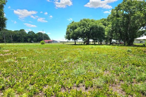 Land in Okeechobee, Florida № 1185292 - photo 4