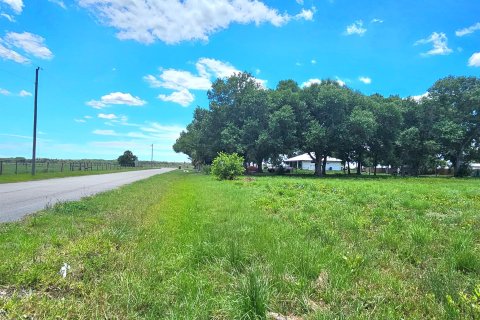 Land in Okeechobee, Florida № 1185292 - photo 8