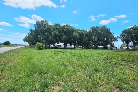 Land in Okeechobee, Florida № 1185292 - photo 3