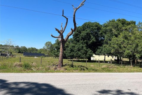 Terreno en venta en Clewiston, Florida № 1132405 - foto 4