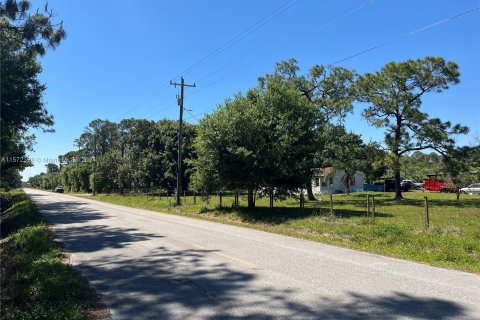 Terrain à vendre à Clewiston, Floride № 1132405 - photo 1