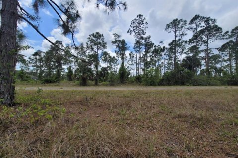 Land in Lehigh Acres, Florida № 1088759 - photo 13