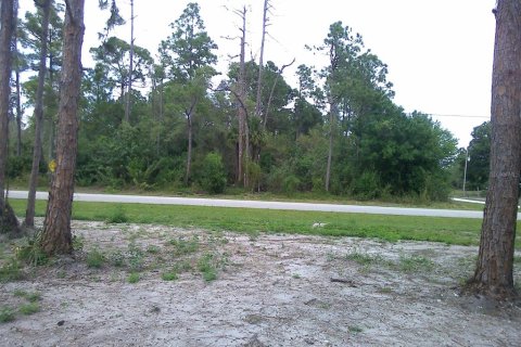 Land in Lehigh Acres, Florida № 1088759 - photo 10