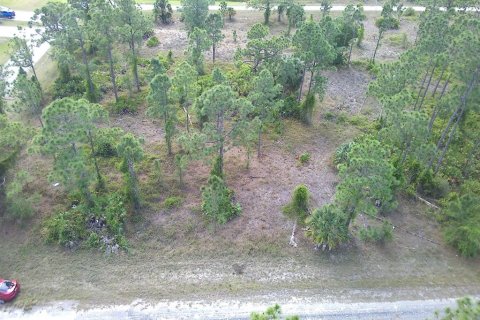 Land in Lehigh Acres, Florida № 1088759 - photo 2