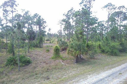 Land in Lehigh Acres, Florida № 1088759 - photo 3