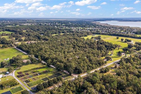 Terreno en venta en Lady Lake, Florida № 1405278 - foto 9