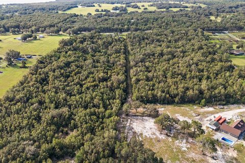 Terreno en venta en Lady Lake, Florida № 1405278 - foto 6