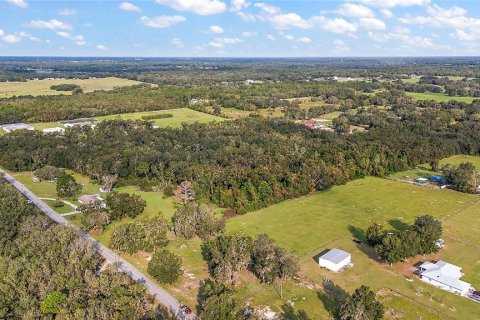 Terreno en venta en Lady Lake, Florida № 1405278 - foto 2