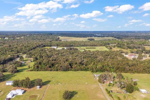 Terreno en venta en Lady Lake, Florida № 1405278 - foto 5