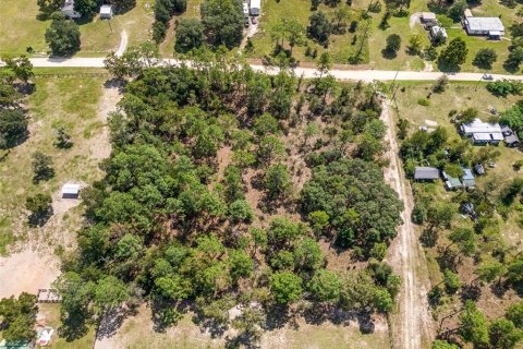 Land in Morriston, Florida № 1323906 - photo 2