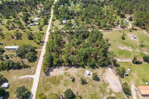 Land in Morriston, Florida № 1323906 - photo 4