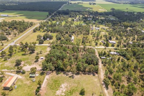 Terreno en venta en Morriston, Florida № 1323906 - foto 10