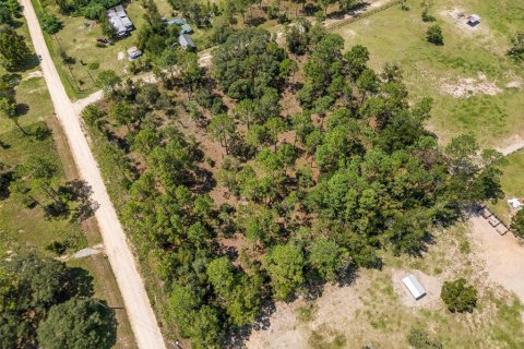 Terreno en venta en Morriston, Florida № 1323906 - foto 7