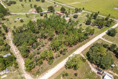 Land in Morriston, Florida № 1323906 - photo 1