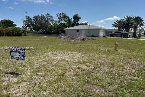 Land in Cape Coral, Florida № 1316718 - photo 2