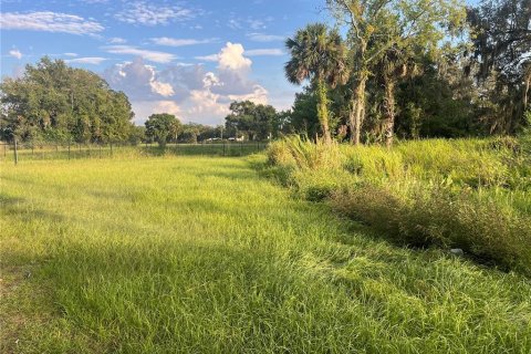 Terrain à vendre à Sanford, Floride № 1336712 - photo 5