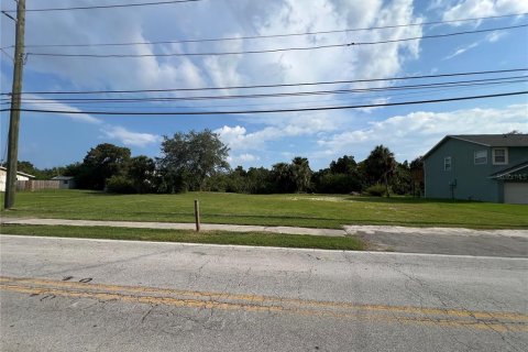 Land in Port Richey, Florida № 1336675 - photo 2