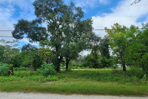 Land in Spring Hill, Florida № 1352544 - photo 1