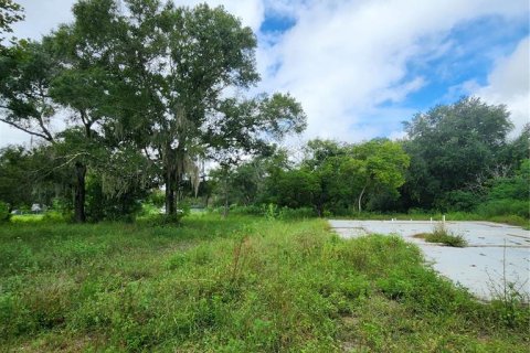 Terreno en venta en Spring Hill, Florida № 1352544 - foto 9