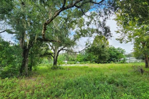 Terrain à vendre à Spring Hill, Floride № 1352544 - photo 4